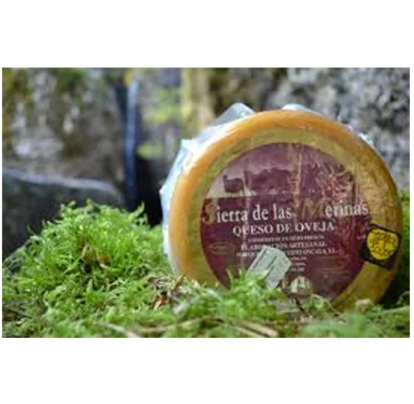 queso torta merina de oncala-lacasadelquesoensoria